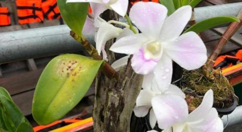 Orchid Lake House Ban Wang Khon Εξωτερικό φωτογραφία